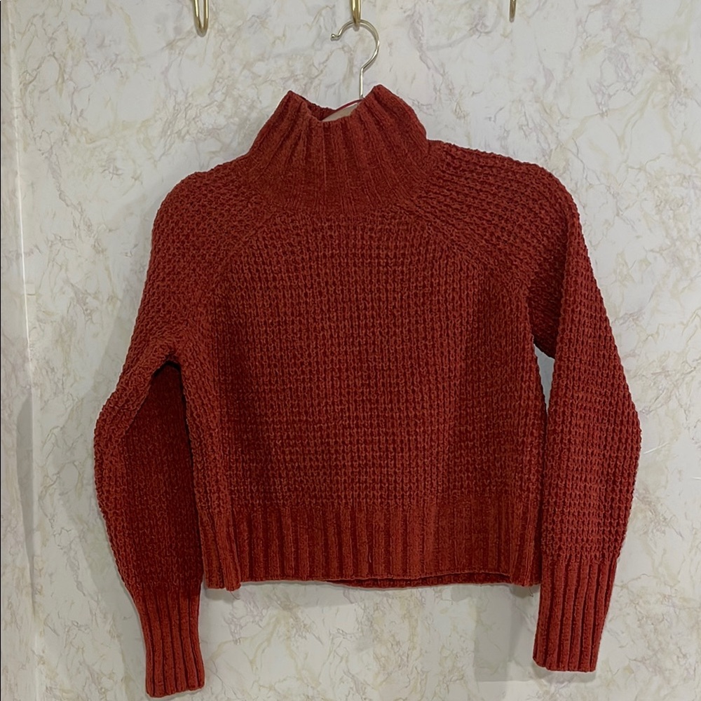 Hippie Rose Rust Chunky Cropped Knit Turtleneck Sweater